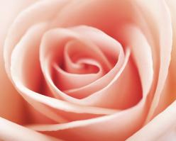 2708-shutterstock 2186695