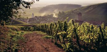Wineck-Schlossberg