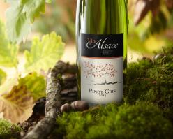 8138-pinotgris