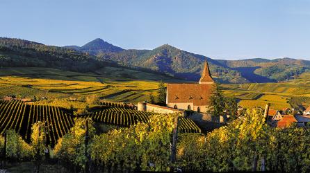 AOC Alsace