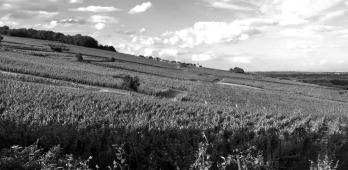 Bruderthal