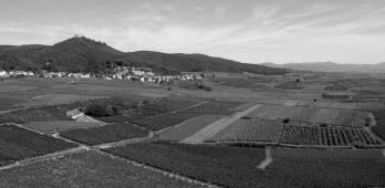 Eichberg