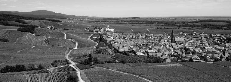 Frankstein szvardon civa