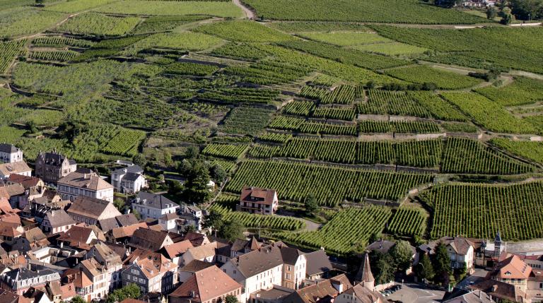 Geisberg2