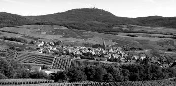 Gloeckelberg