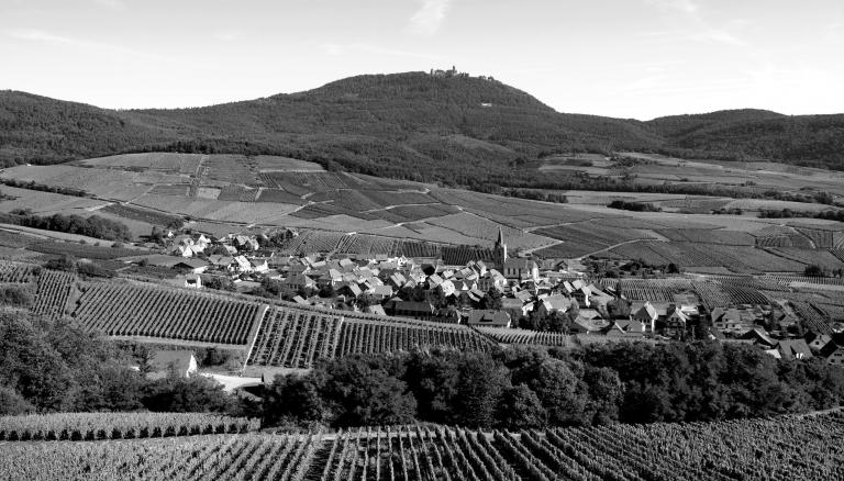 Gloeckelberg zvardon civa