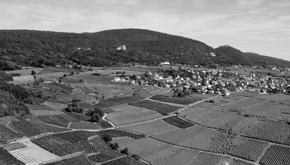Hatschbourg