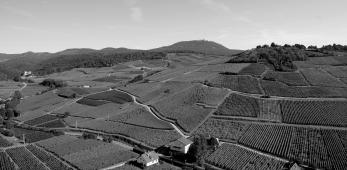 Kanzlerberg