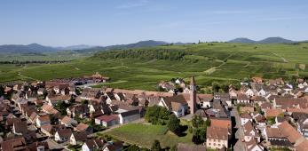 Marckrain
