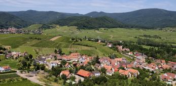 Moenchberg