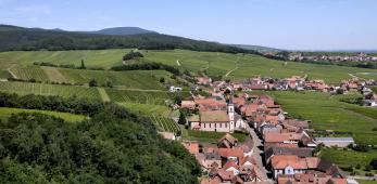 Muenchberg