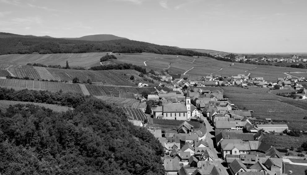 Muenchberg