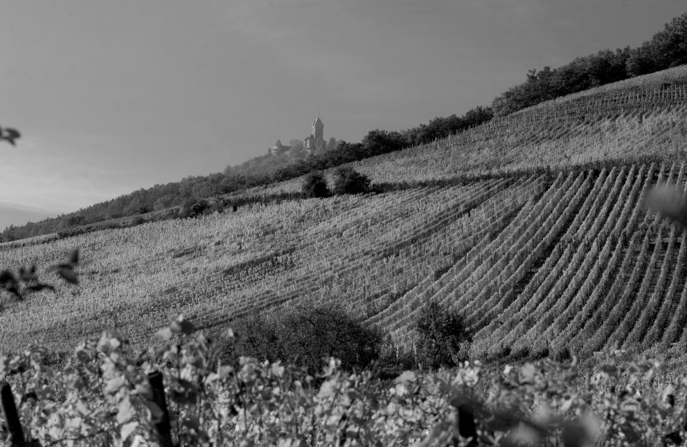 Praelatenberg