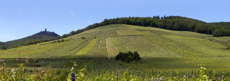 Praelatenberg-2