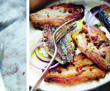 Sardines