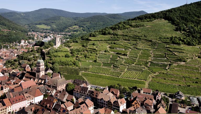 Schlossberg4