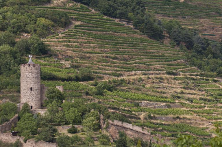 Schlossberg