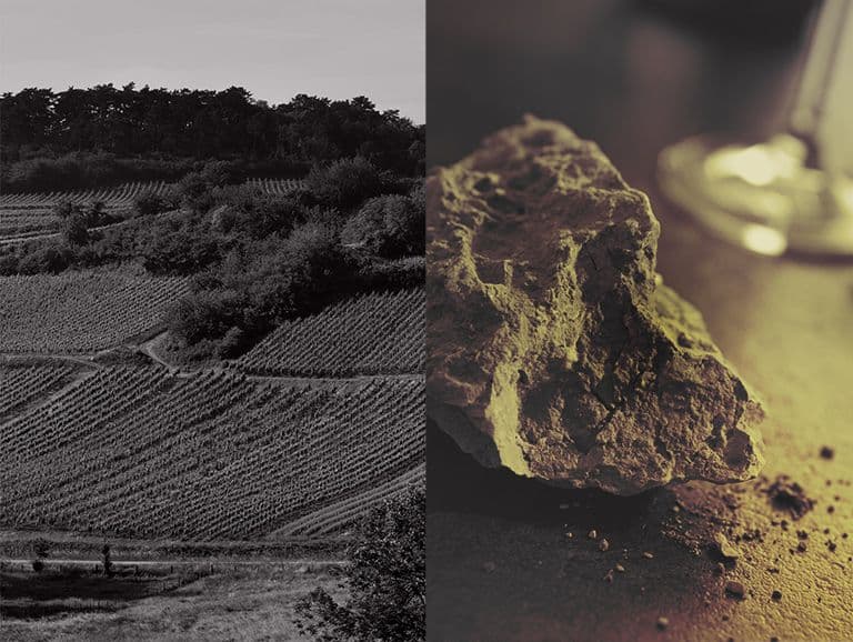 From rock to wine
