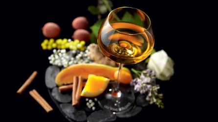 Vendanges tardives