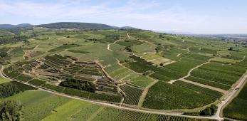 Vorbourg