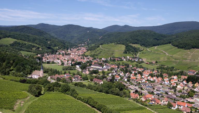 Wiebelsberg-zvardon-conseilvinsalsace-2