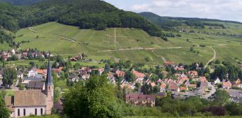 Wiebelsberg