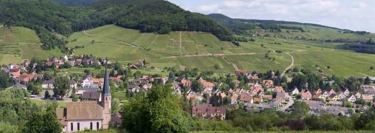 Wiebelsberg-zvardon-conseilvinsalsace