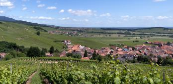 Winzenberg