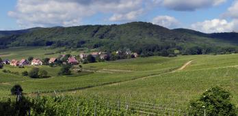 Zotzenberg