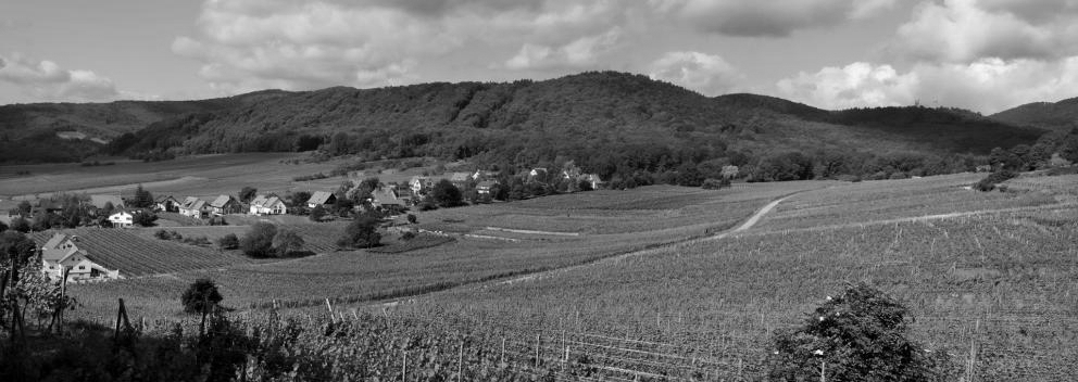 Zotzenberg