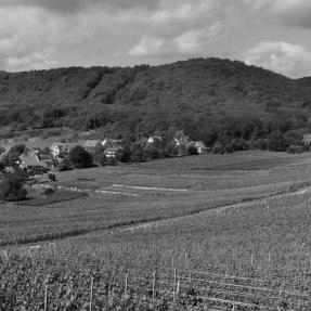 Zotzenberg