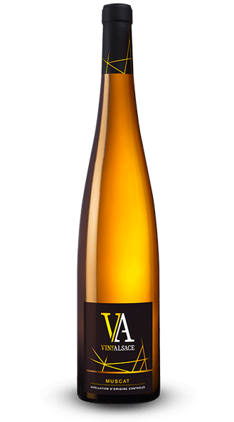 Muscat d’Alsace