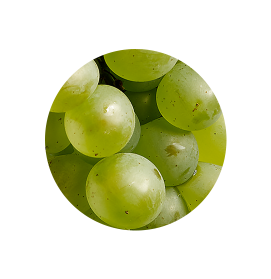 Pinotblanc baie@2x