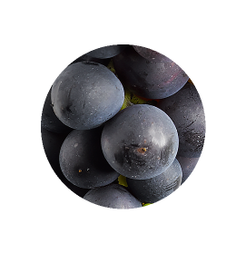 Pinotnoir baie@2x