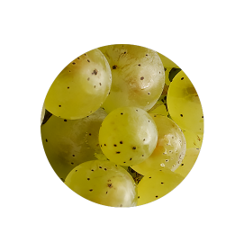 Riesling baie@2x
